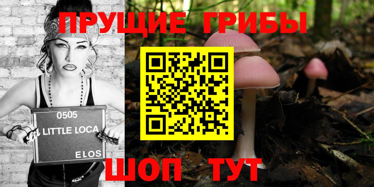 Псилоцибиновые грибы MAGIC MUSHROOMS  Вход с VPN  Воронеж 
